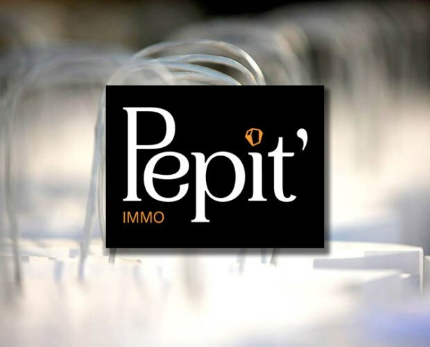 Lumière sur Pepit-immo