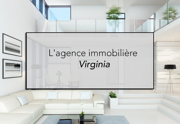 L'agence immobilière Virginia : Pionnière en Signalétique Lumineuse