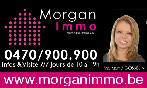 Morgan Immo à Tertre